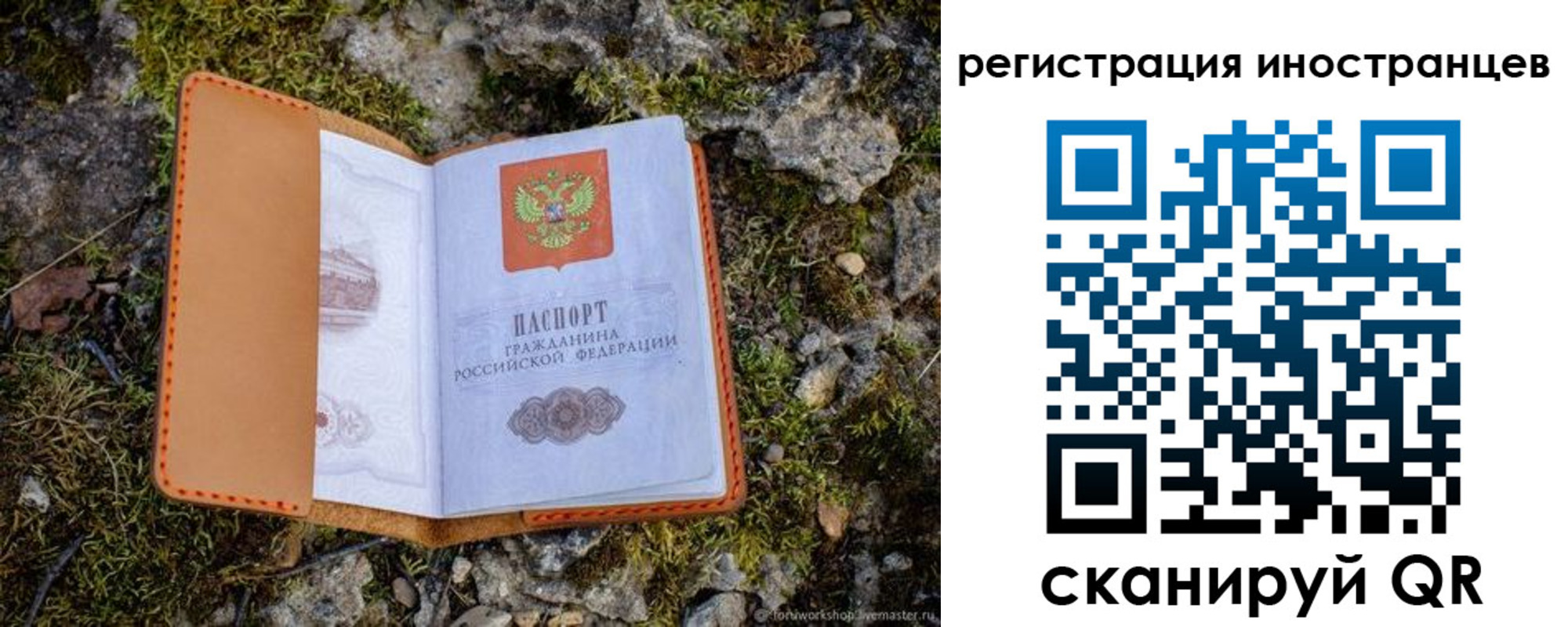 прописка паспорт в Александровске