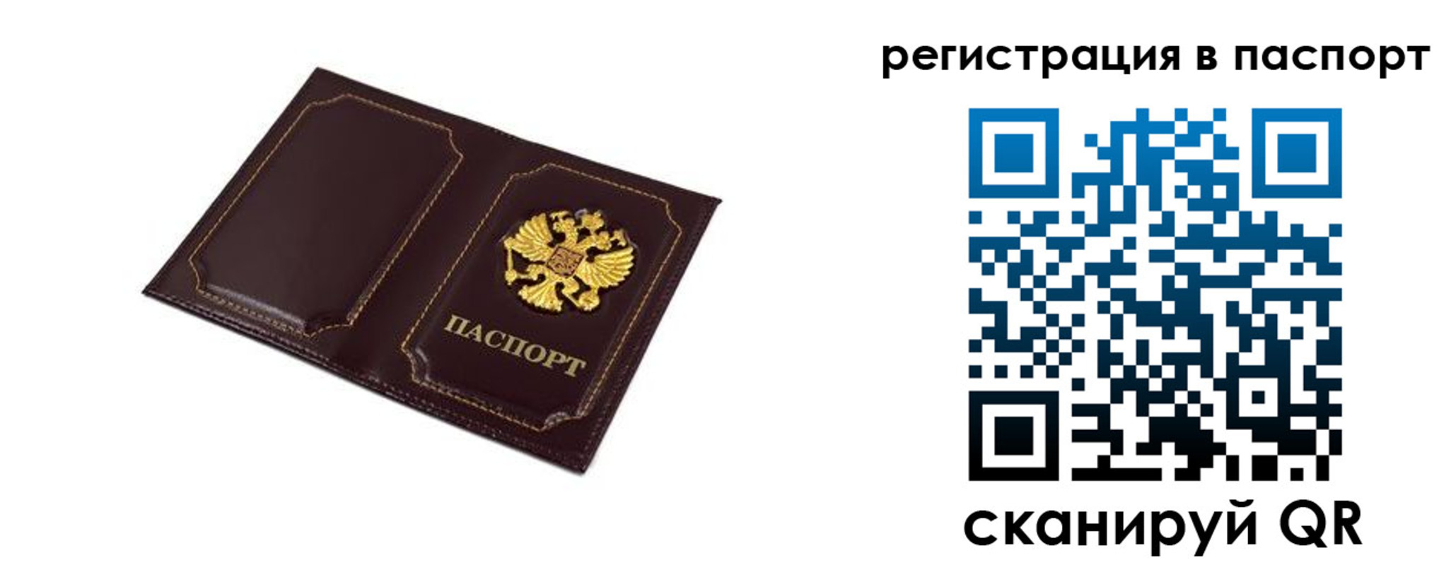 миграционный учет в Александровске